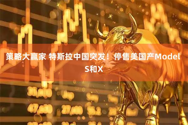 策略大赢家 特斯拉中国突发！停售美国产Model S和X