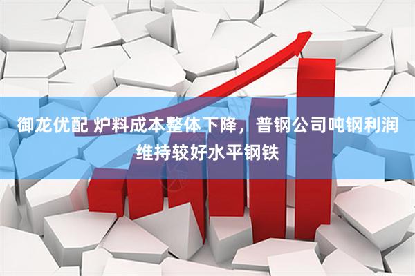 御龙优配 炉料成本整体下降，普钢公司吨钢利润维持较好水平钢铁