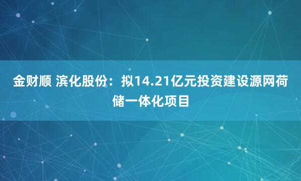 金财顺 滨化股份：拟14.21亿元投资建设源网荷储一体化项目