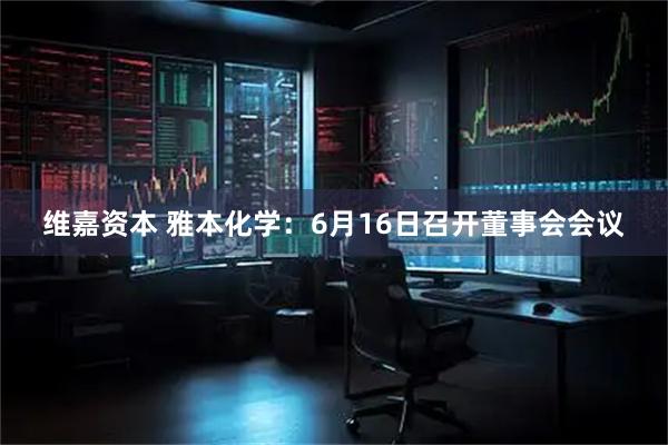 维嘉资本 雅本化学：6月16日召开董事会会议