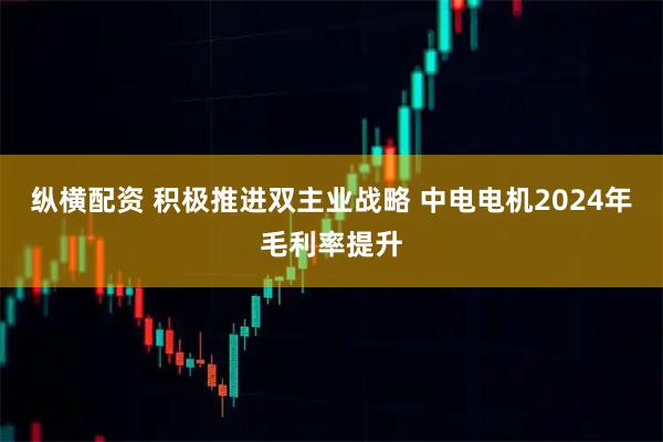 纵横配资 积极推进双主业战略 中电电机2024年毛利率提升
