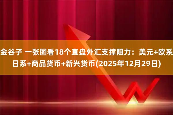 金谷子 一张图看18个直盘外汇支撑阻力：美元+欧系日系+商品货币+新兴货币(2025年12月29日)
