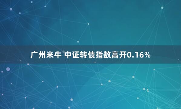 广州米牛 中证转债指数高开0.16%